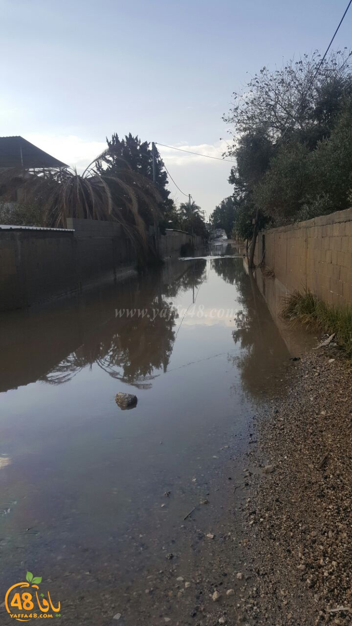 dhamasha ja3 (11).jpg